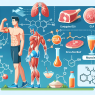 L'importanza del CLA nella prevenzione delle lesioni muscolari negli sportivi
